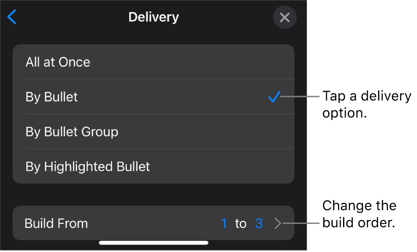 Delivery options in the Build In pane.