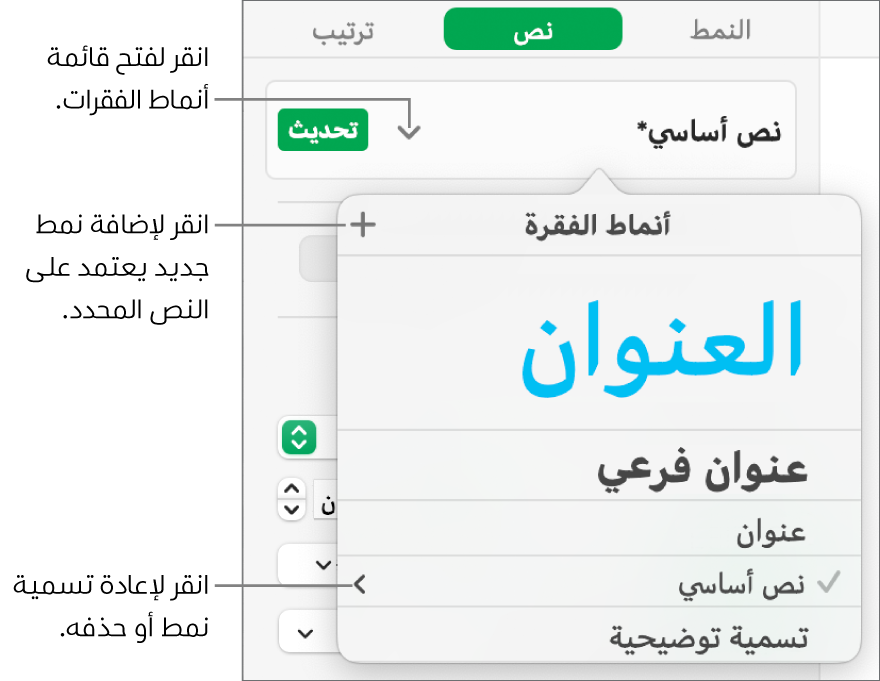 قائمة أنماط الفقرة، وتظهر بها عناصر التحكم لإضافة أو تغيير النمط.