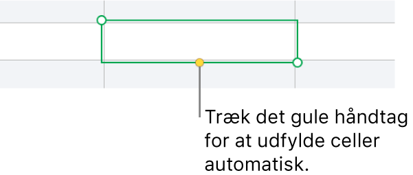 En valgt celle med et gult håndtag, som du kan trække for at udfylde celler automatisk.