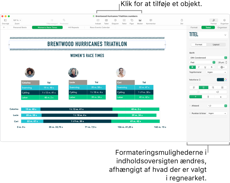 Vinduet Numbers med fanen Tekst åben i indholdsoversigten Format.