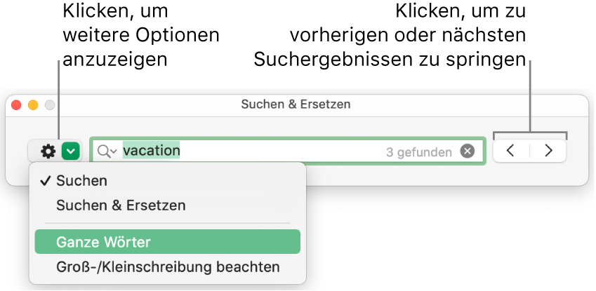 Das Fenster „Suchen & Ersetzen“ mit dem Einblendmenü, in dem Optionen zum Suchen, Suchen und Ersetzen, Suchen ganzer Wörter und Suchen unter Berücksichtigung der Groß-/Kleinschreibung zu sehen sind. Mit den Pfeilen auf der rechten Seite kann zu den vorherigen bzw. nächsten Suchergebnissen gesprungen werden.