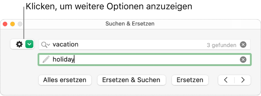 Das Fenster „Suchen & Ersetzen“ mit einer Beschreibung der Taste, mit der weitere Optionen eingeblendet werden können