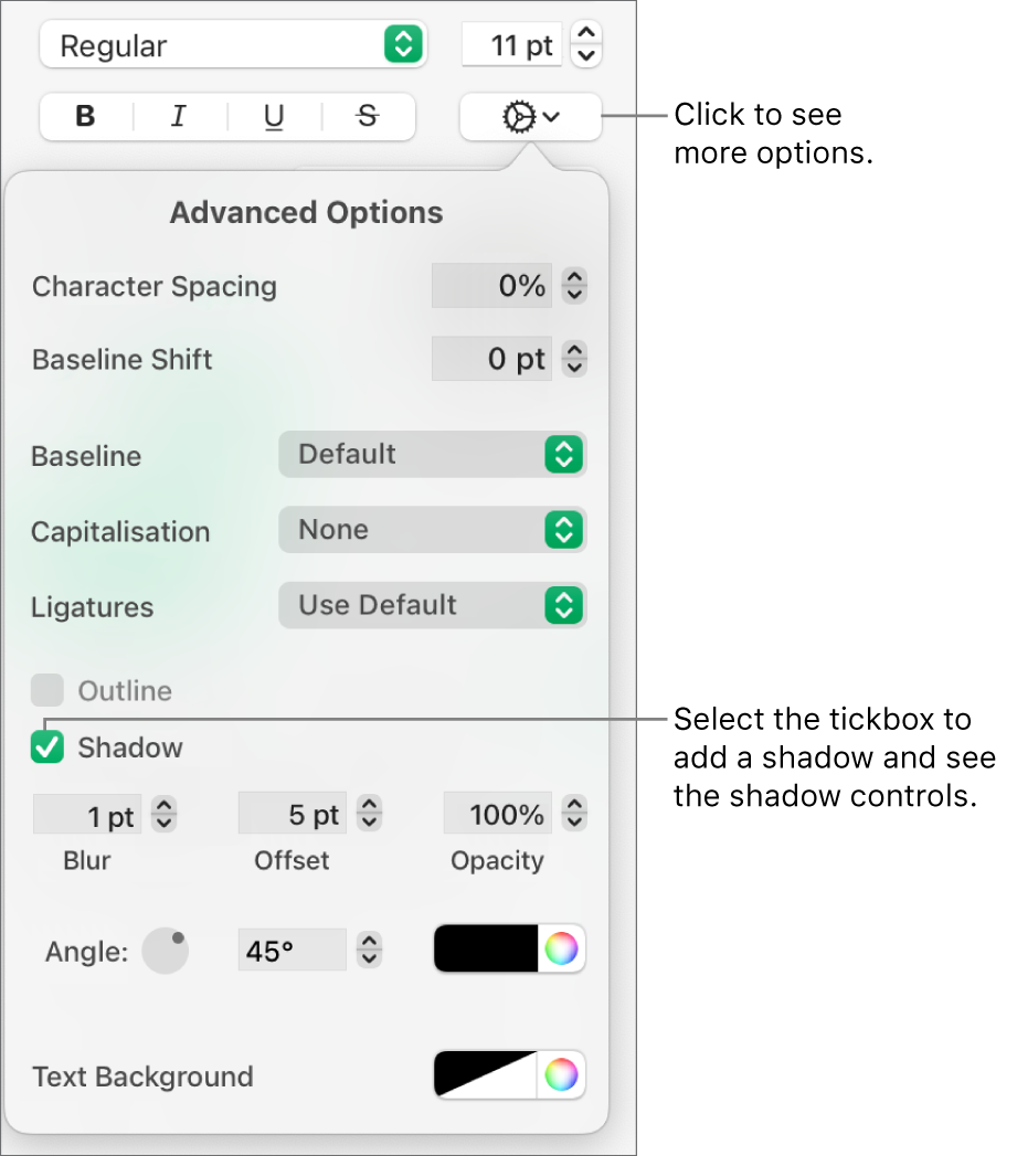 The More Text Options menu open with the Shadows tickbox selected and controls for setting blur, offset, opacity, angle and colour.