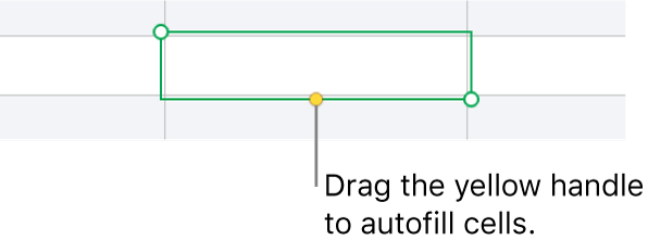 A selected cell with a yellow handle you can drag to autofill cells.