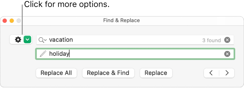 The Find & Replace window with a callout to the button to show more options.