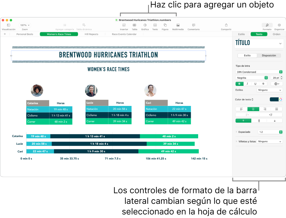 La ventana de Numbers con la pestaña Texto de la barra lateral Formato abierta.