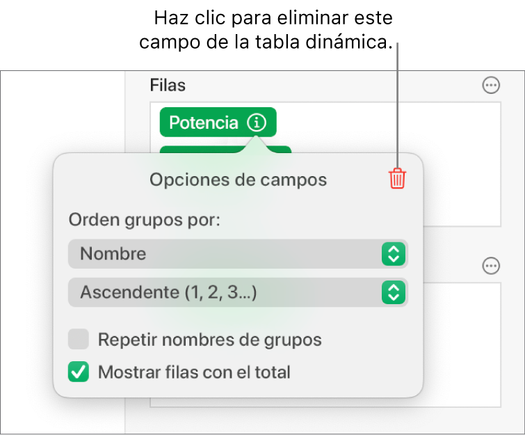 El menú Opciones de campos, mostrando los controles para agrupar y clasificar los datos, así como la opción para eliminar un campo.