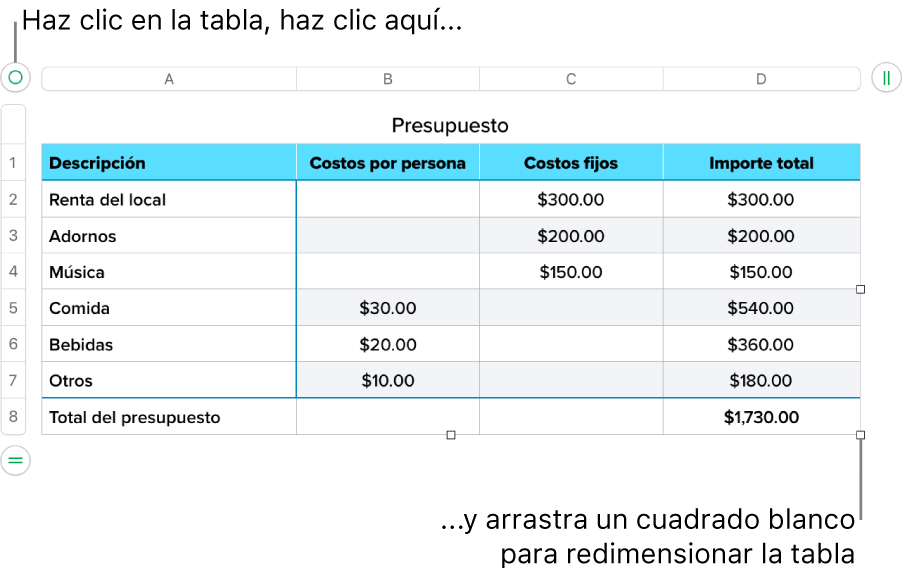 Una tabla seleccionada con cuadrados blancos para redimensionarla.