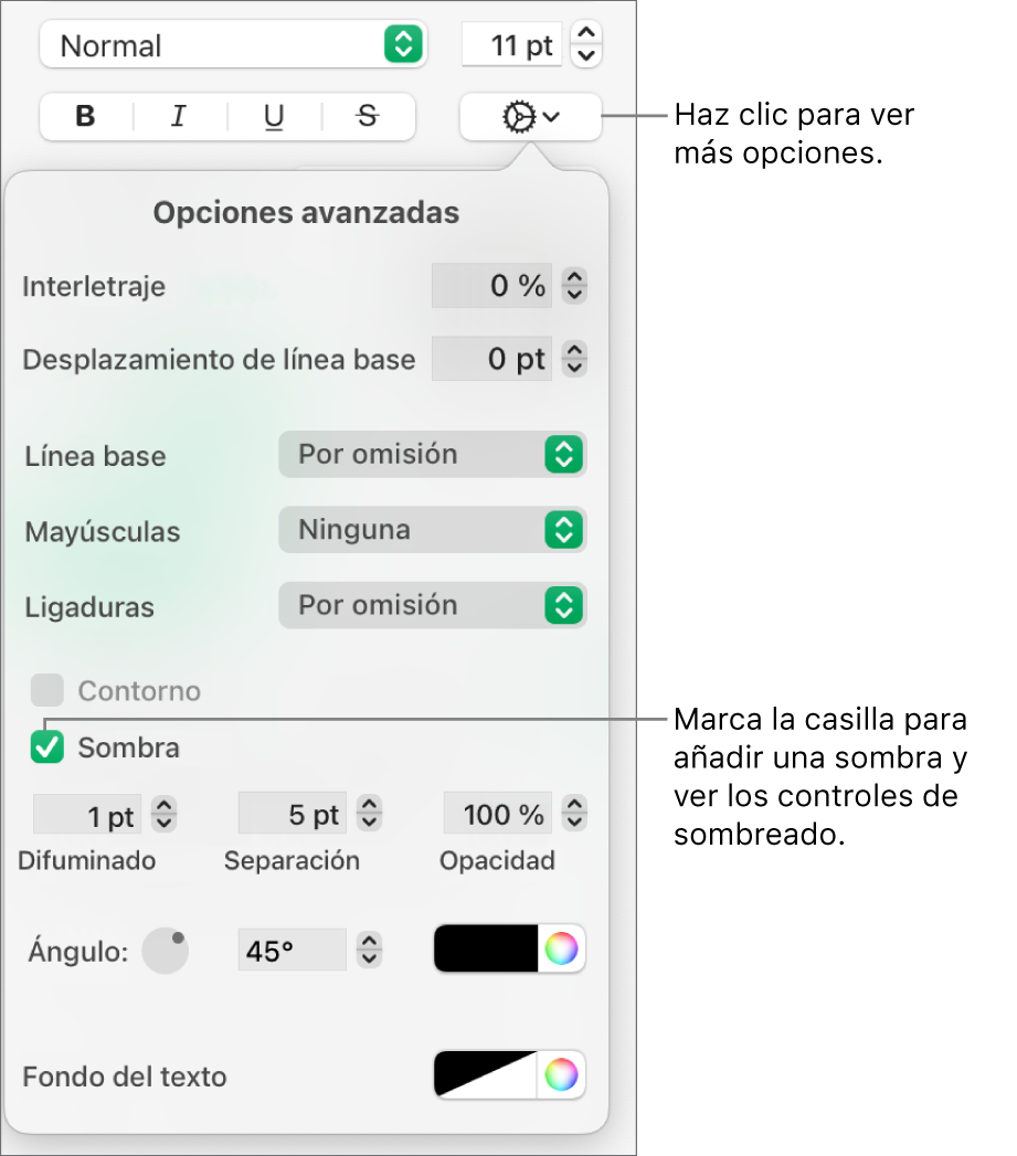 El menú “Más opciones de texto” abierto con la casilla Sombras seleccionada y controles para configurar el desenfoque, la desviación, la opacidad, el ángulo y el color.