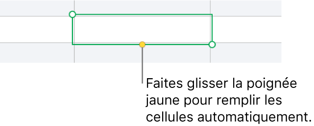 Une cellule sélectionnée avec une poignée jaune à faire glisser pour remplir automatiquement des cellules.