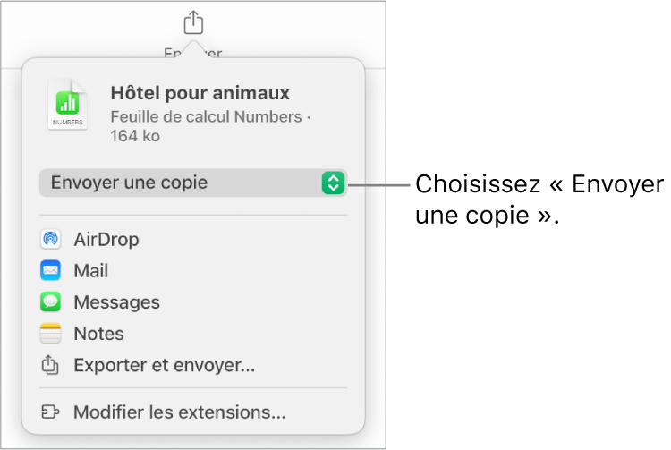 Le menu Partager avec l’option Envoyer une copie sélectionnée en haut.