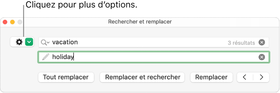 La fenêtre Rechercher et remplacer accompagnée d’une légende pour le bouton permettant d’afficher plus d’options.