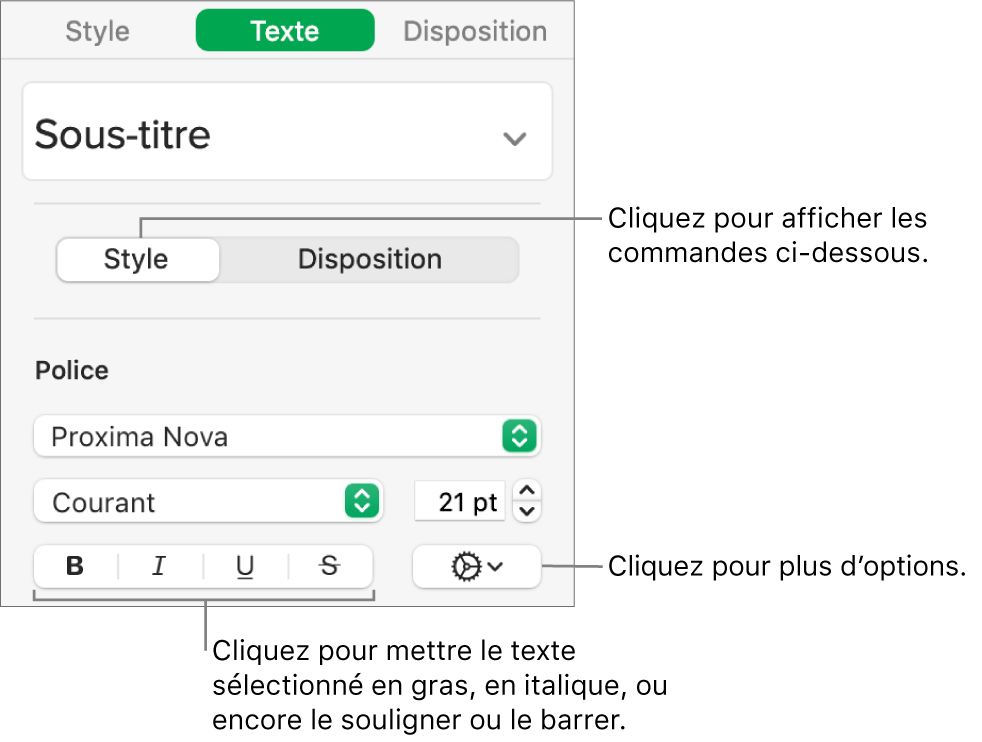 Commandes Styles de la barre latérale avec les légendes des boutons Gras, Italique, Souligné et Barré.