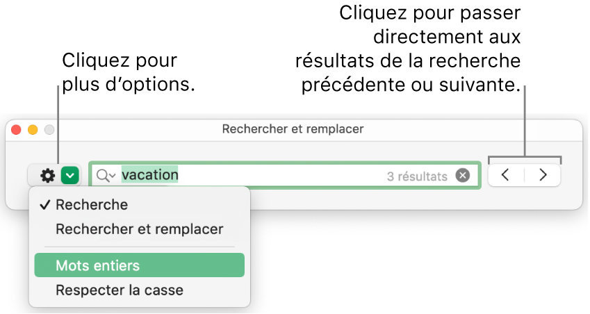 La fenêtre Rechercher et remplacer avec le menu local présentant les options Rechercher, Rechercher et remplacer, Mots entiers et Respecter la casse. Les flèches à droite permettent d’accéder directement aux résultats de recherche suivants ou précédents.