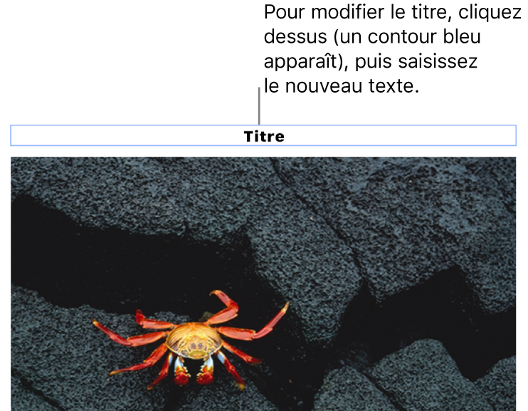 Le paramètre fictif de titre, « Titre », est affiché sous une photo. Un contour bleu autour du champ du titre indique qu’il est sélectionné.