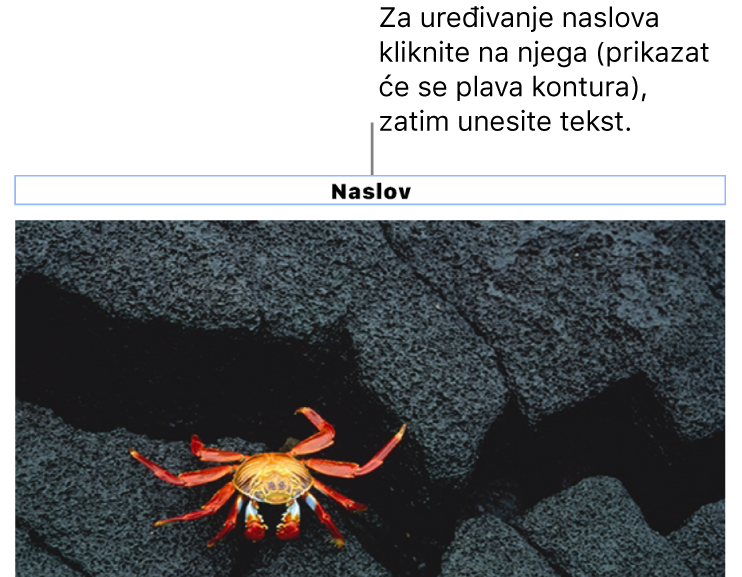 Naslov držača mjesta, “Naslov“ se javlja ispod fotografije; plavi obrub oko polja opisa ukazuje da je odabran.