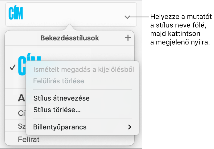 A Bekezdésstílusok menü a megnyitott helyi menüvel.