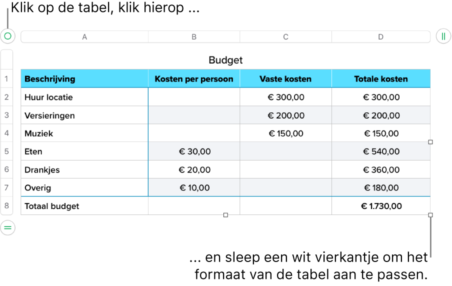 Een geselecteerde tabel met witte vierkantjes om de tabel groter of kleiner te maken.