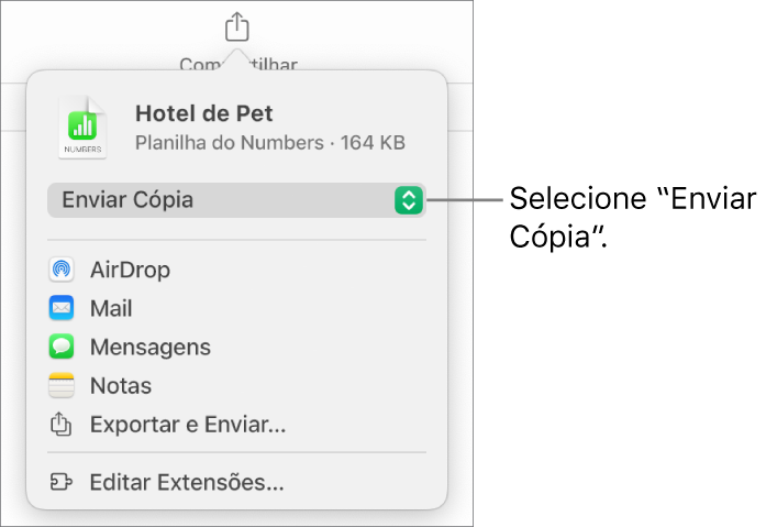 Menu Compartilhar com “Enviar Cópia” selecionado na parte superior.