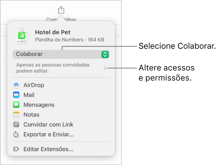 Menu Compartilhar com Colaborar selecionado na parte superior e os ajustes de acesso e permissão abaixo.