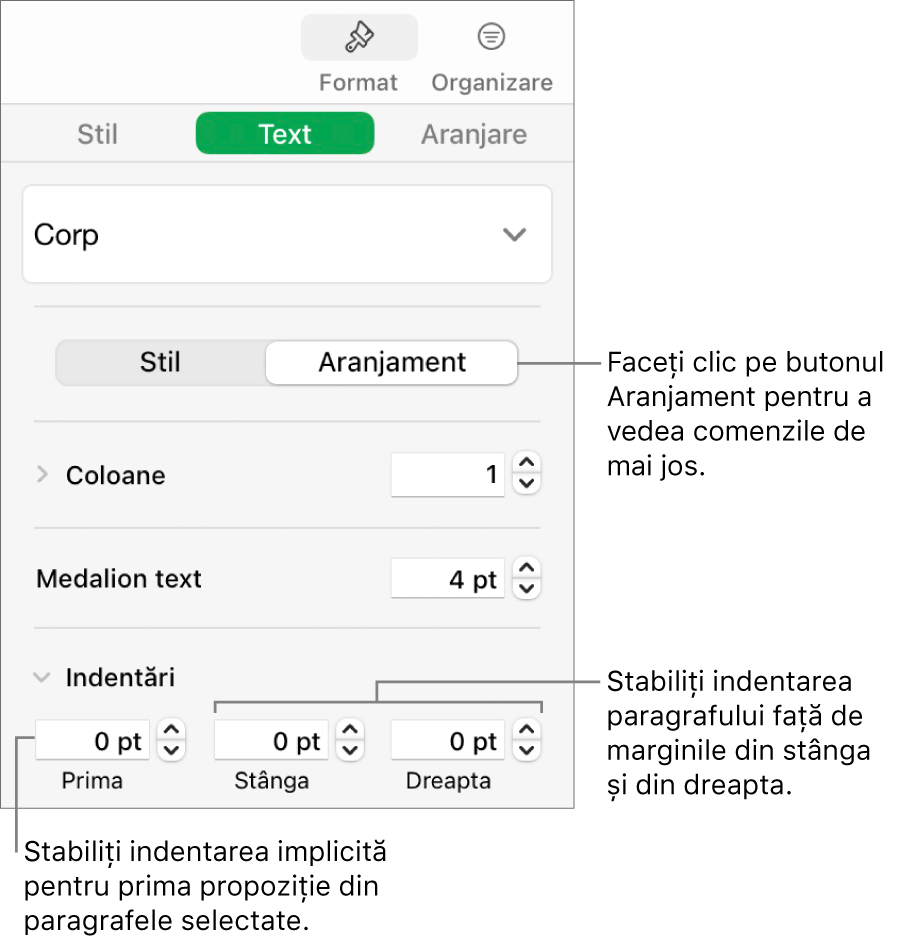 Secțiunea Aranjament a barei laterale Format afișând comenzi pentru configurarea indentării primei linii și a marginilor paragrafului.