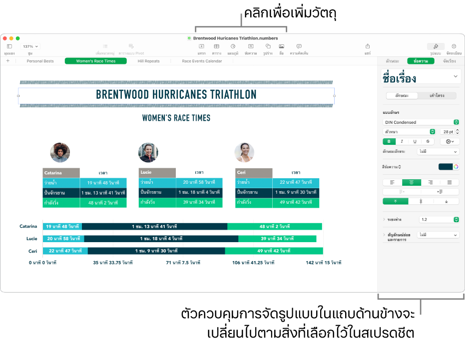 หน้าต่าง Numbers ที่มีแถบข้อความของแถบด้านข้างรูปแบบเปิดอยู่