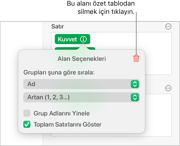 Verileri gruplama ve sıralama denetimleri ile alan silme seçeneğini gösteren Alan Seçenekleri menüsü.