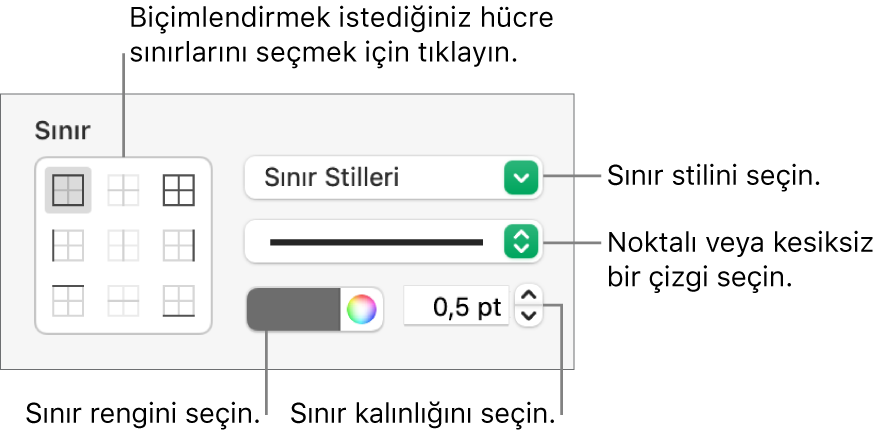 Hücre sınırlarına stil eklemeye ilişkin denetimler.