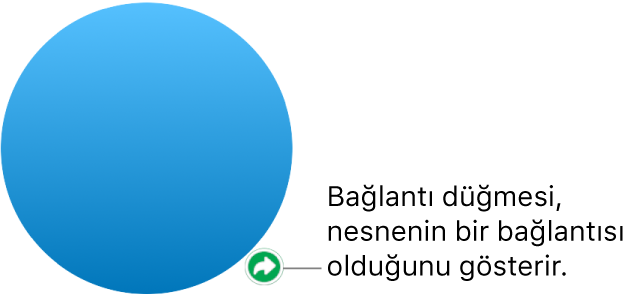 Şekildeki bağlantı düğmesi.