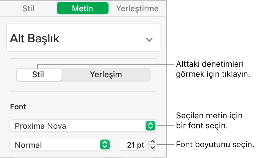 Fontu ve font büyüklüğünü ayarlamak için Biçim kenar çubuğunun Stil bölümündeki metin denetimleri.