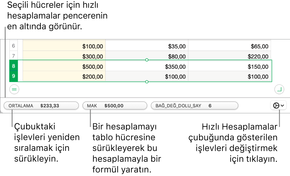 İşlevlerin sırasını değiştirmek için sürükleyin, bir hesaplamayı bir hücreye eklemek için sürükleyin veya hangi işlevlerin gösterildiğini değiştirmek için işlevleri değiştir menüsünü tıklayın.