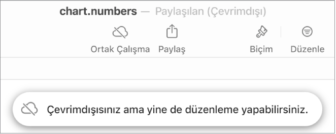 Ekrandaki bir uyarı “Çevrimdışısınız ama yine de düzenleyebilirsiniz” der.