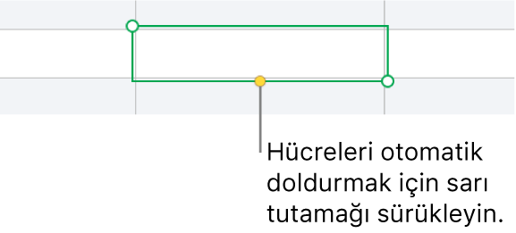 Hücreleri otomatik doldurmak için sürükleyebileceğiniz bir sarı tutamağı olan seçili hücre.