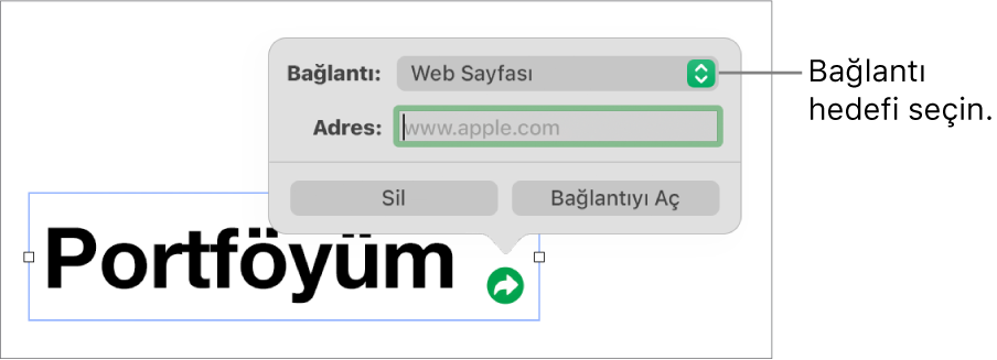 Bağlantı düzenleyici denetimlerinde Web Sayfası seçili, en altta ise Bağlantıyı Sil ve Aç düğmeleri bulunuyor.