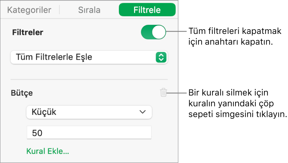 Filtreyi silme veya tüm filtreleri kapatma denetimleri.