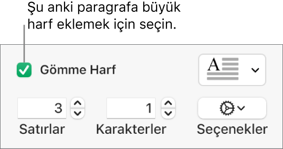 İlki Büyük Harf onay kutusu seçilidir ve sağında bir açılır menü görünür; satır yüksekliğini, karakter sayısını ve diğer seçenekleri ayarlama denetimleri ise altında görünür.