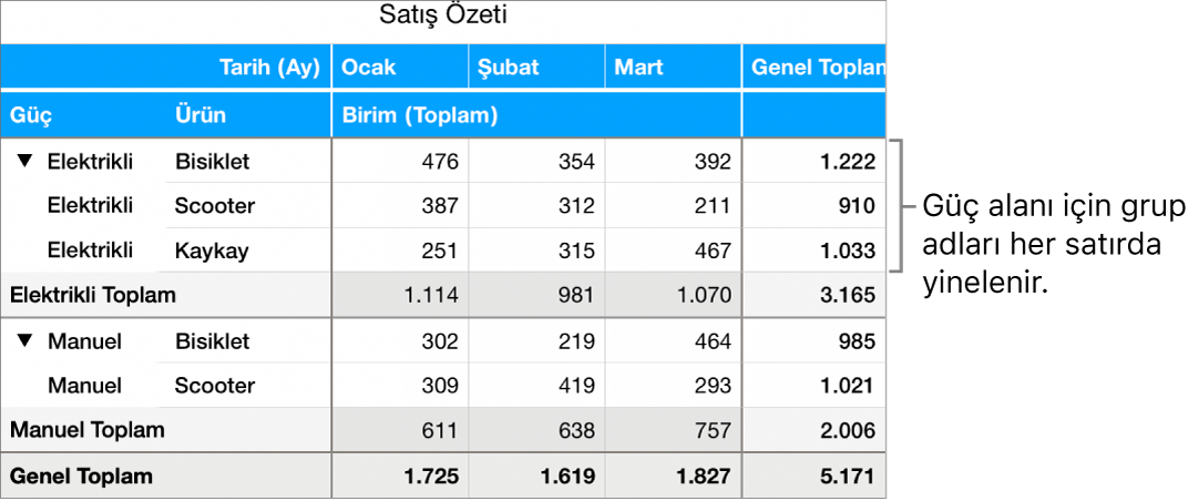 Güç alanı için grup adları olan ve her satırda yinelenen Elektrikli ve Manuel seçeneklerini gösteren bir özet tablo.