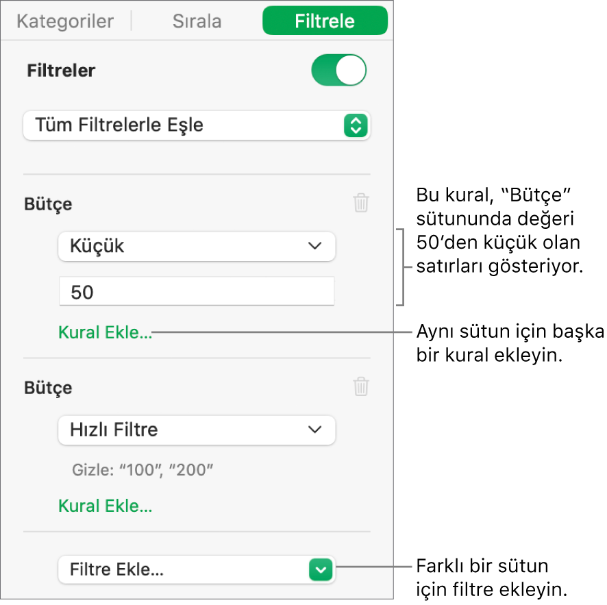 Filtreleme kuralları yaratmaya yönelik denetimler.