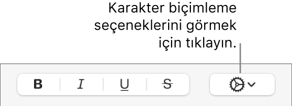 Kalın, İtalik, Altı Çizgili ve Üstü Çizgili düğmelerinin yanındaki İleri Düzey Seçenekler düğmesi.