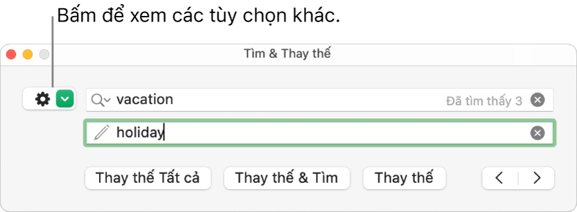 Cửa sổ Tìm & Thay thế có lời nhắc đến nút để hiển thị thêm tùy chọn.