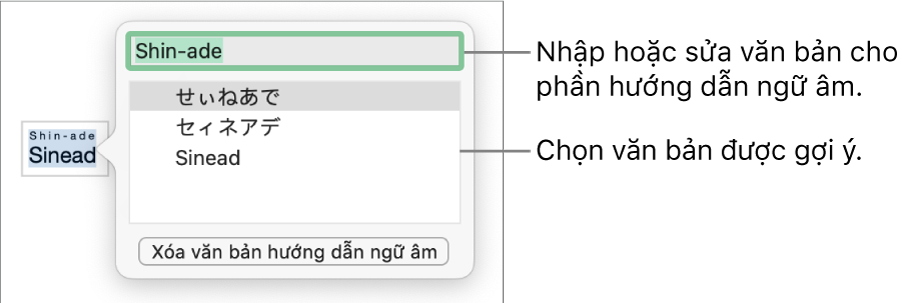 Phiên âm sẽ mở cho một từ, với các lời nhắc đến trường văn bản và văn bản được gợi ý.