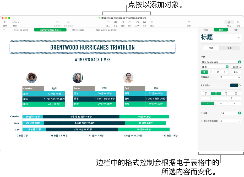 Numbers 表格窗口，其中“格式”边栏的“文本”标签已打开。