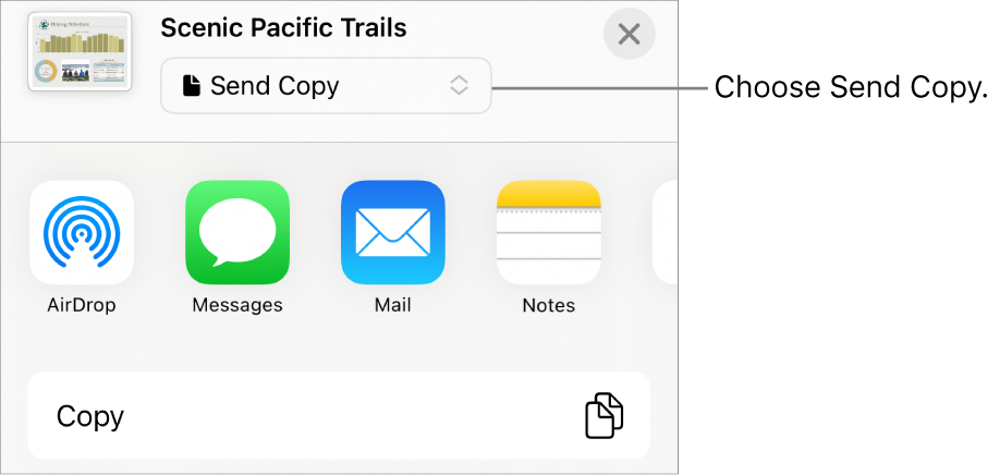 The Share menu with Send Copy selected at the top.