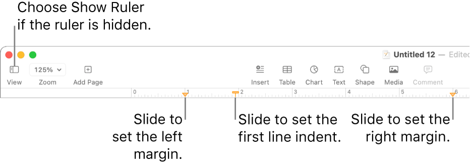 The ruler with the left margin control and first line indent control.