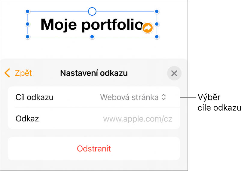 Ovládací prvky Nastavení odkazu s vybranou volbou Webová stránka a tlačítkem Odstranit v dolní části