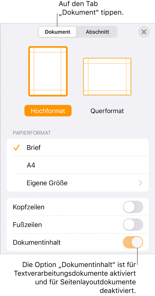 Die Steuerelemente für das Dokumentformat mit aktivierter Option „Dokumentinhalt“ unten auf dem Bildschirm.