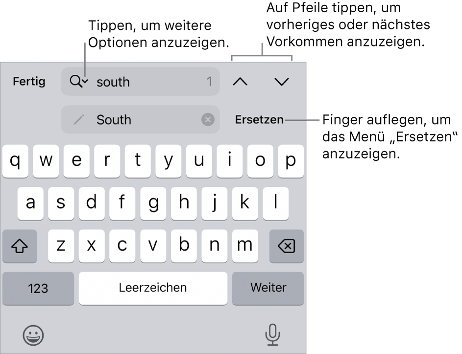 Die Steuerelemente „Suchen & Ersetzen“ über der Tastatur mit Beschreibungen zur Taste für Suchoptionen, zur Taste „Ersetzen“ und zu den Aufwärts- und Abwärts-Tasten.