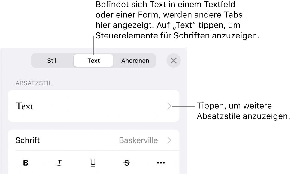 Das Menü „Format“ mit Textsteuerelementen zum Festlegen von Absatz- und Zeichenstilen, Schrift, Größe und Farbe