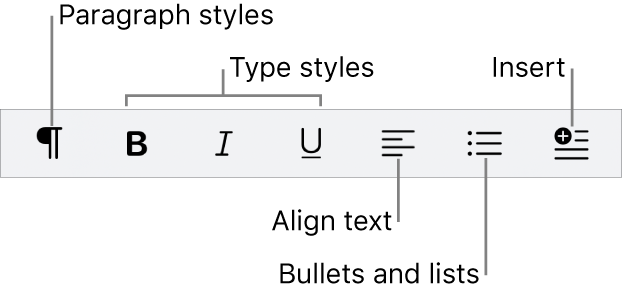 The Quick Format bar, showing icons for paragraph styles, type styles, text alignment, bullets and lists and inserting elements.