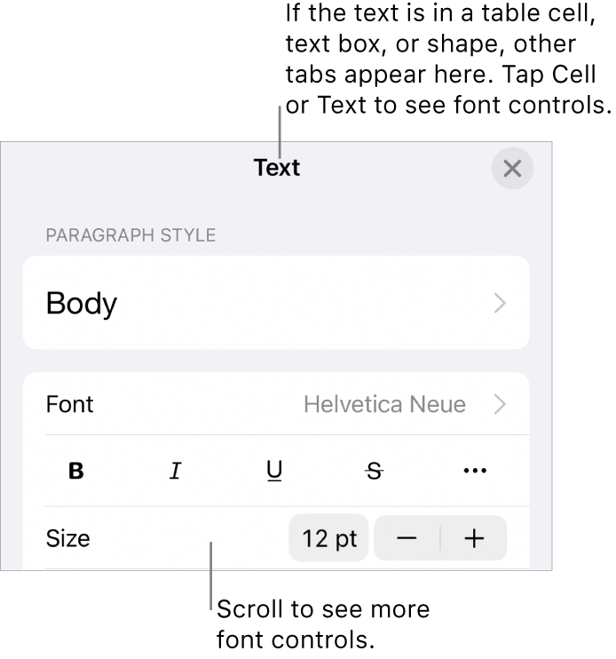 Text controls in the Format menu for setting paragraph and character styles, font, size, and color.